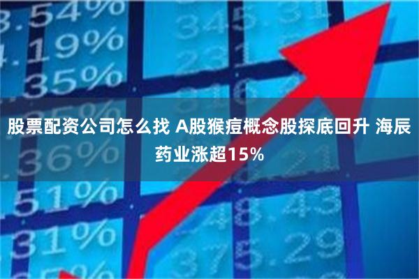 股票配资公司怎么找 A股猴痘概念股探底回升 海辰药业涨超15%