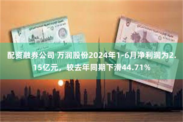 配资融券公司 万润股份2024年1-6月净利润为2.15亿元，较去年同期下滑44.71%