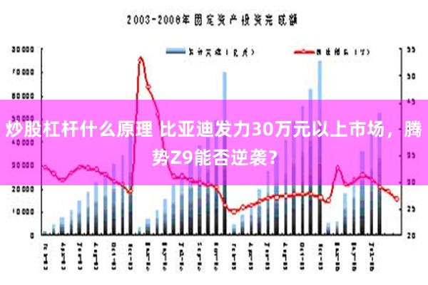 炒股杠杆什么原理 比亚迪发力30万元以上市场，腾势Z9能否逆袭？