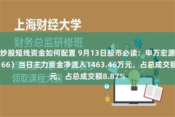 炒股短线资金如何配置 9月13日股市必读：申万宏源（000166）当日主力资金净流入1463.46万元，占总成交额8.87%