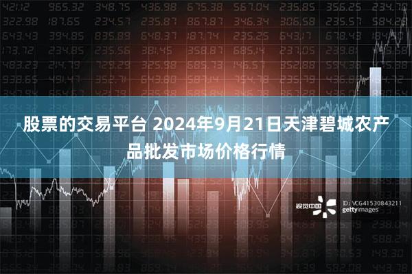 股票的交易平台 2024年9月21日天津碧城农产品批发市场价格行情