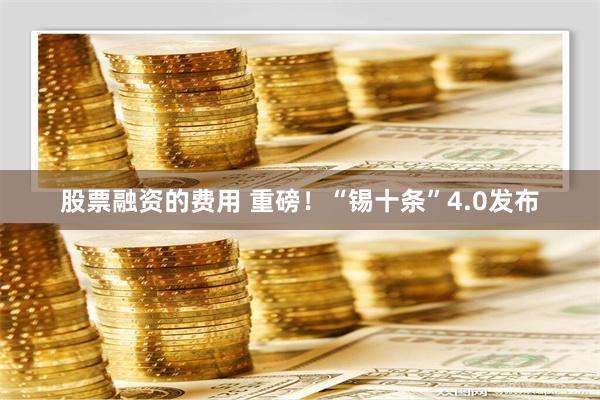 股票融资的费用 重磅！“锡十条”4.0发布