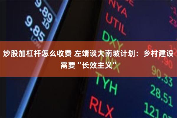 炒股加杠杆怎么收费 左靖谈大南坡计划：乡村建设需要“长效主义”