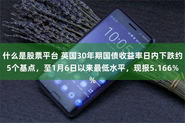 什么是股票平台 英国30年期国债收益率日内下跌约5个基点，至1月6日以来最低水平，现报5.166%