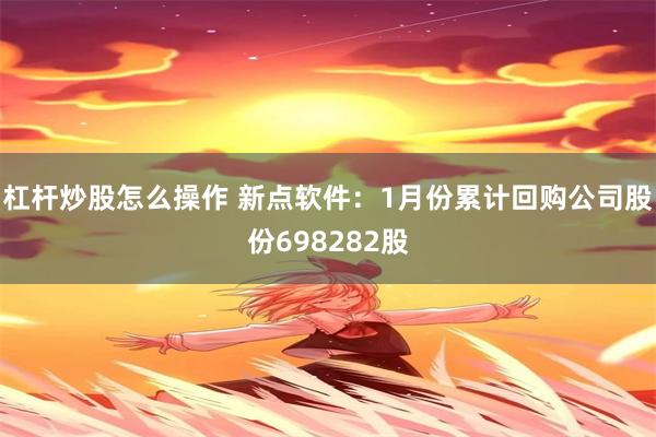 杠杆炒股怎么操作 新点软件：1月份累计回购公司股份698282股