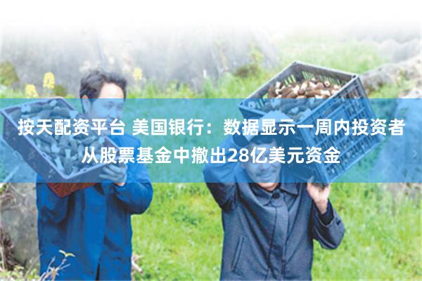 按天配资平台 美国银行：数据显示一周内投资者从股票基金中撤出28亿美元资金