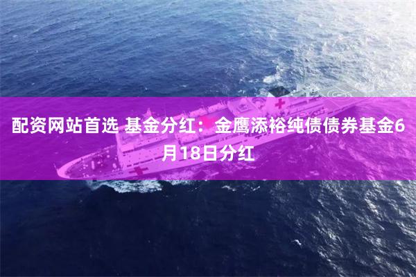 配资网站首选 基金分红：金鹰添裕纯债债券基金6月18日分红